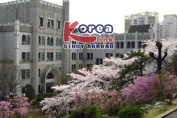 Du học Thạc sĩ D2-3 E-Visa tại Dongduk Women’s University: Lựa chọn ngành Giáo dục tiếng Hàn và Tư vấn giáo dục