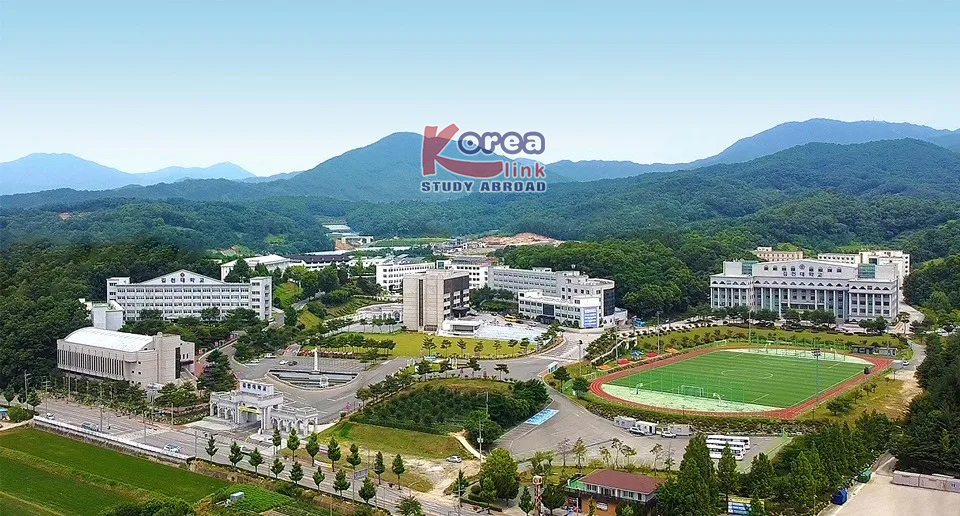 Du Học Hàn Quốc – Ngành Kỹ Thuật Thể Thao E-Visa D2-3 Tại Gimcheon University