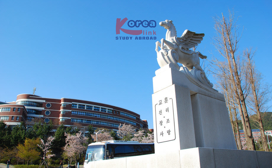 Du Học Hàn Quốc - Ngành Kinh Doanh – Tại Silla University (Busan)