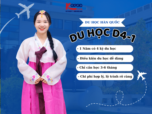 Du học Hàn không cần TOPIK – Dành cho các bạn du học hệ D4: Ưu/nhược điểm và những điều cần chuẩn bị